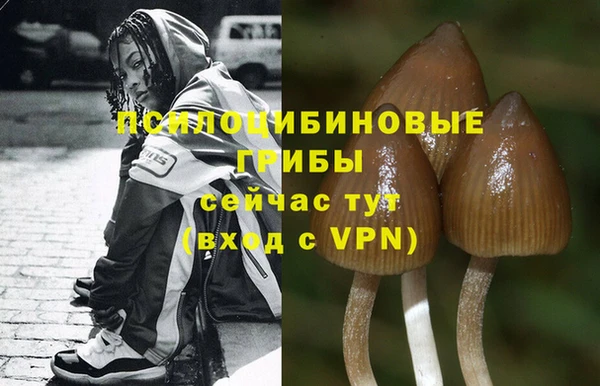 a pvp Липки