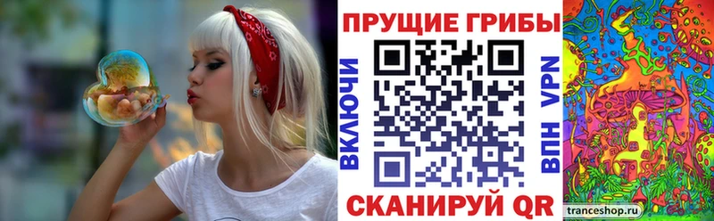Псилоцибиновые грибы прущие грибы  Купить  Узловая 